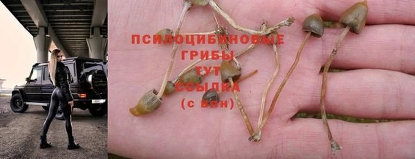 бошки Зеленодольск