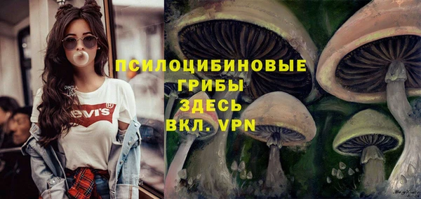 PSILOCYBIN Зерноград