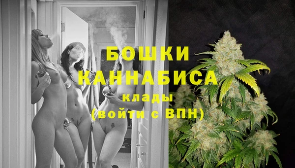 PSILOCYBIN Зерноград