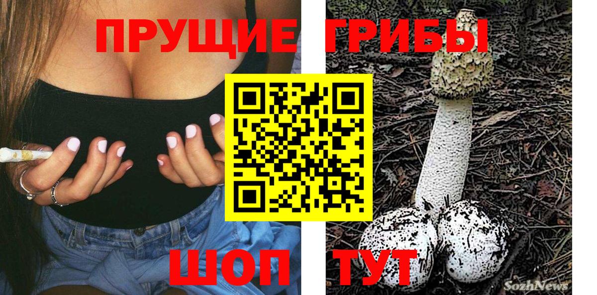 Искитим  Галлюциногенные грибы Psilocybine cubensis  Вход с VPN 