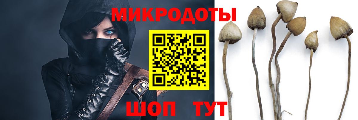 Галлюциногенные грибы MAGIC MUSHROOMS Искитим