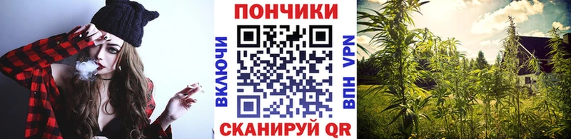 купить  сайты  Искитим  Бошки Шишки гибрид 
